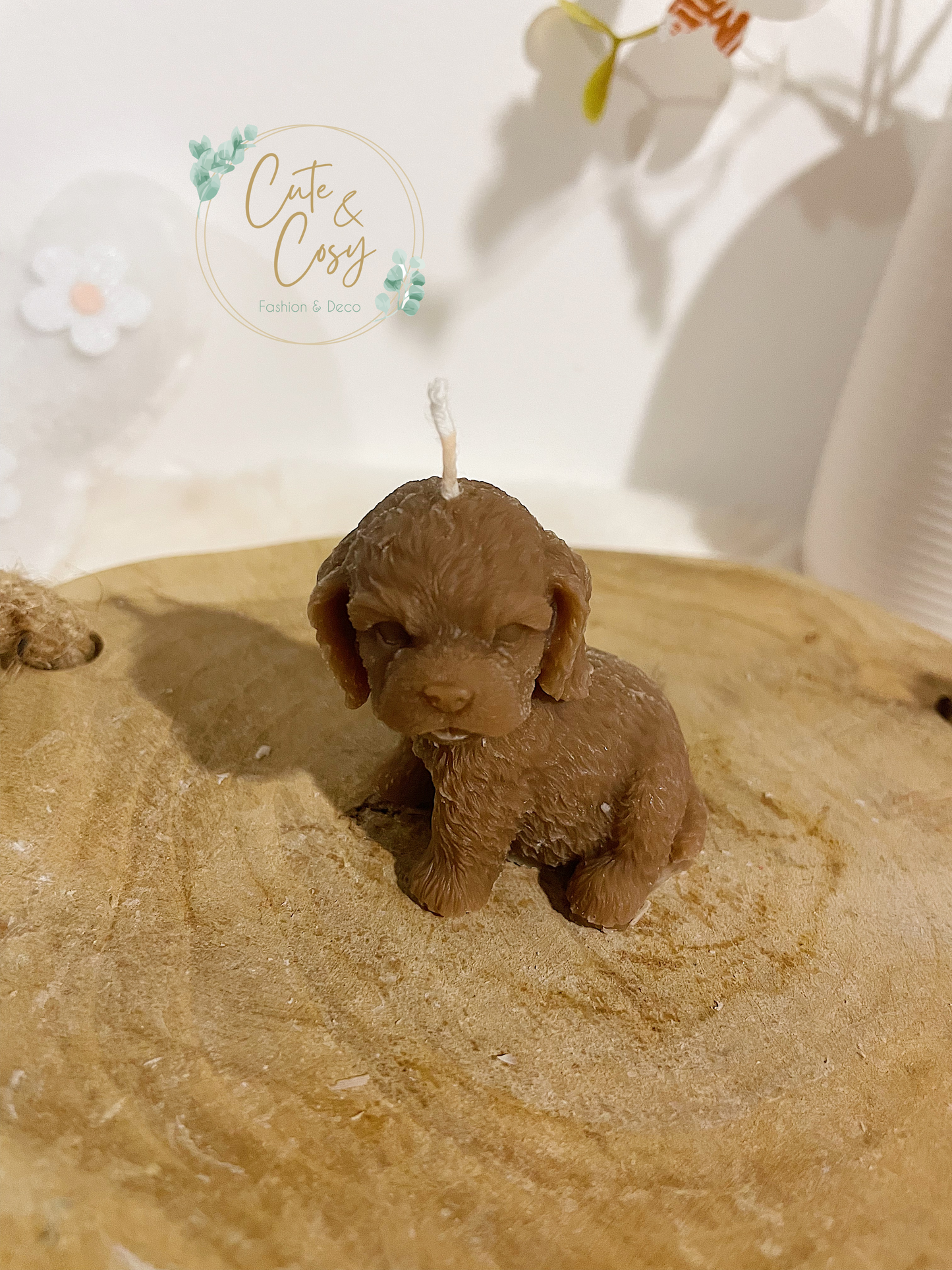 Mini puppy - bruin