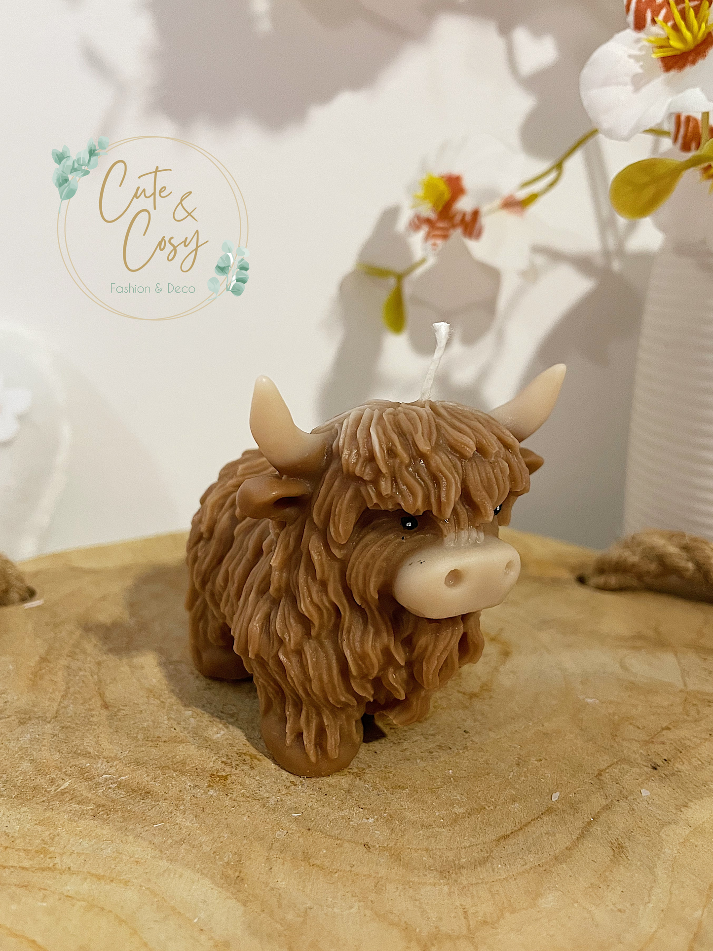 Highland Cow