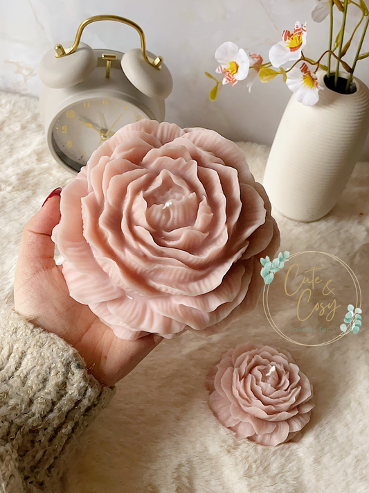 XXL Pioen - roze