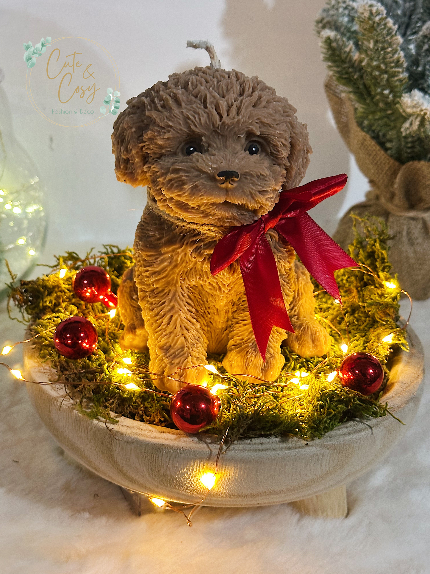 Cadeausetje Dog In The Forest ( alles inbegrepen: schaal, lampjes decoratie, kaars..)