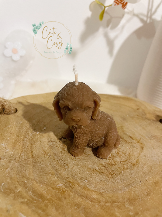 Mini puppy - bruin