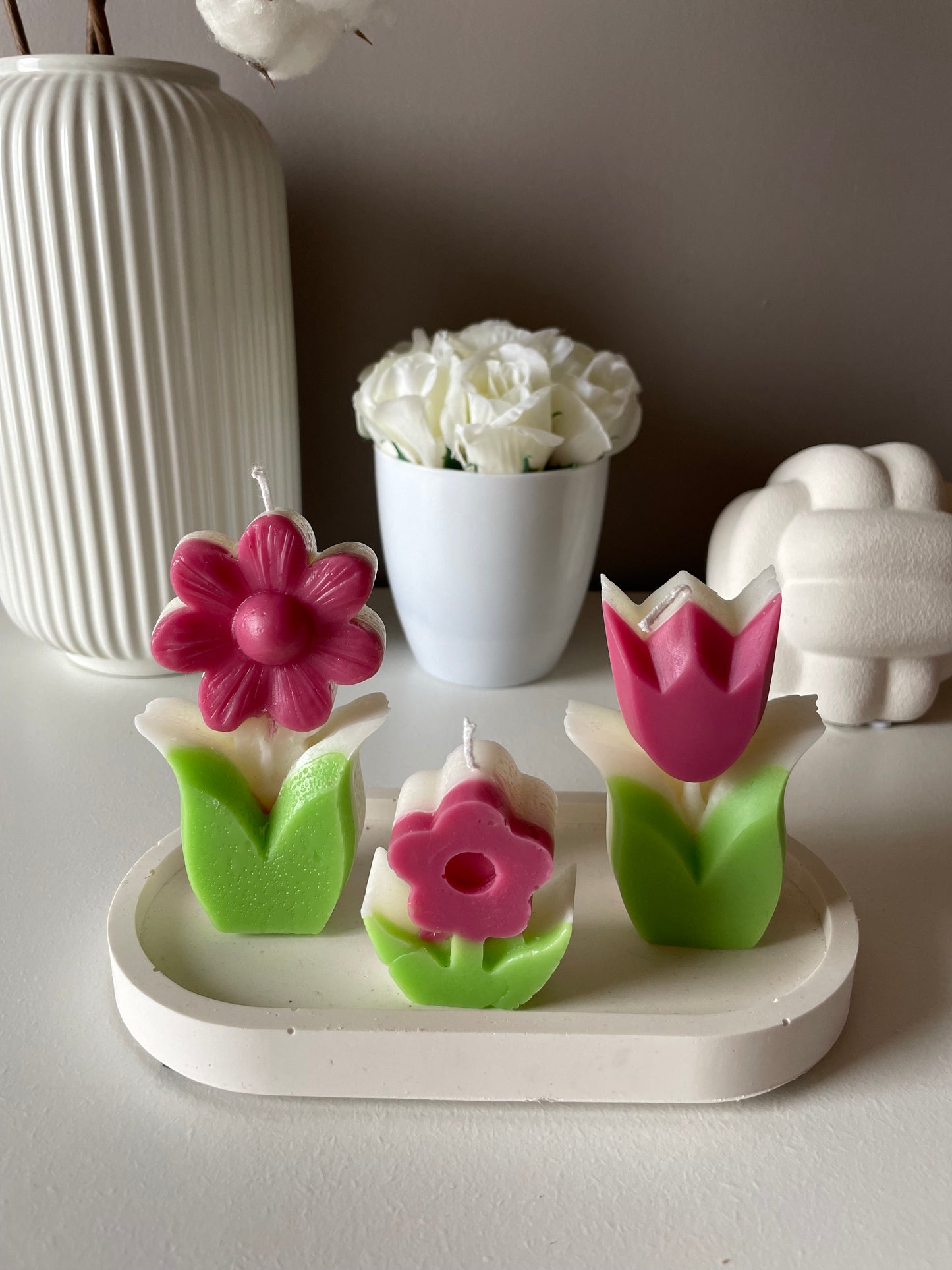 Tulp