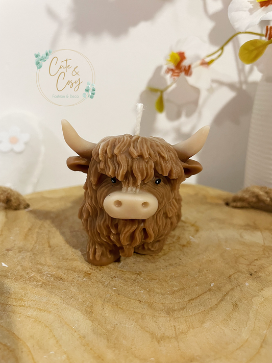 Highland Cow