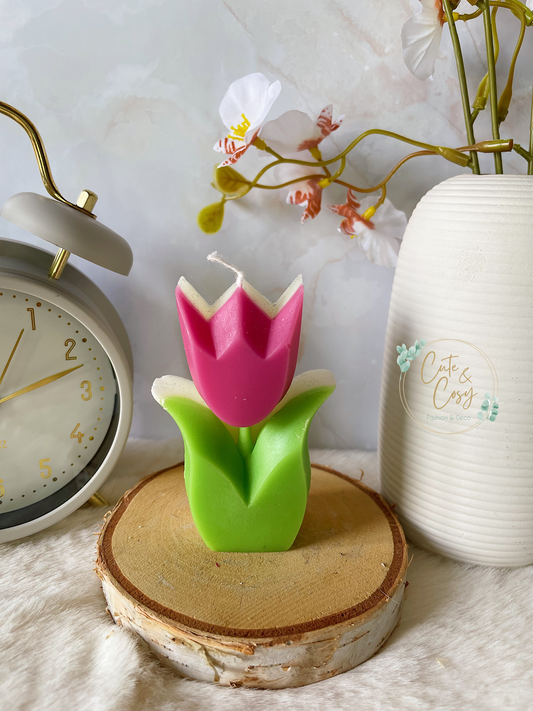 Tulp