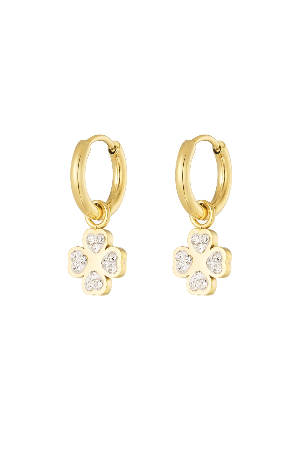 The Silver Earrings
