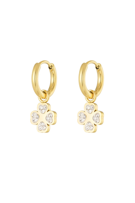 The Silver Earrings